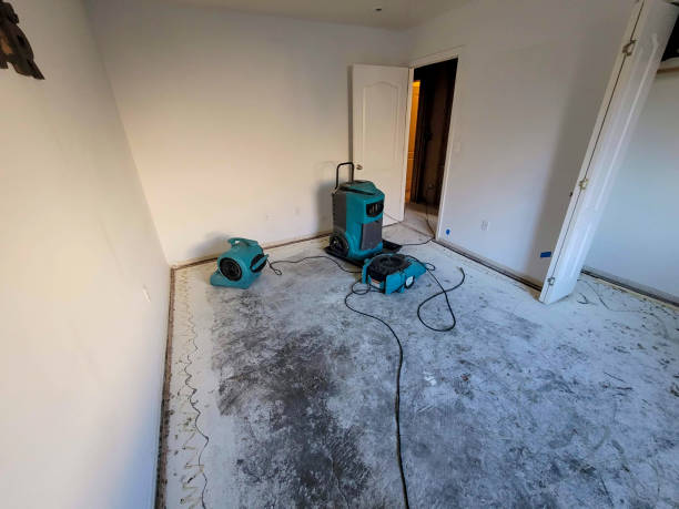 Professional Water damage restoration in Eagar, AZ