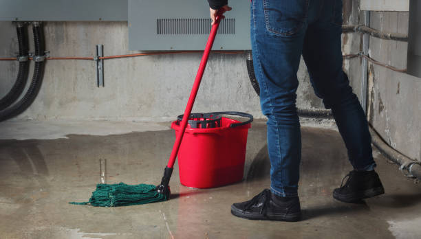 Best Sewage cleanup and water damage restoration  in Eagar, AZ