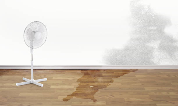 Best Sewage cleanup and water damage restoration  in Eagar, AZ