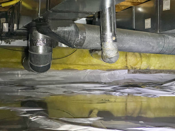 Water damage restoration mold remediation in Eagar, AZ