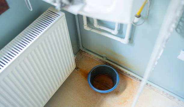 Best Water damage restoration near me  in Eagar, AZ