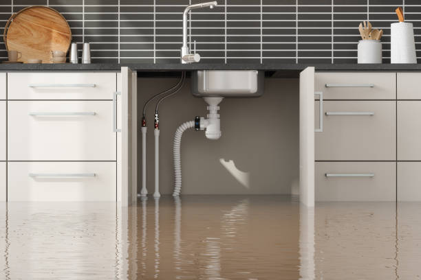 Best 24/7 water damage repair  in Eagar, AZ