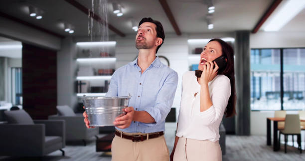  Eagar, AZ Water damage restoration Pros