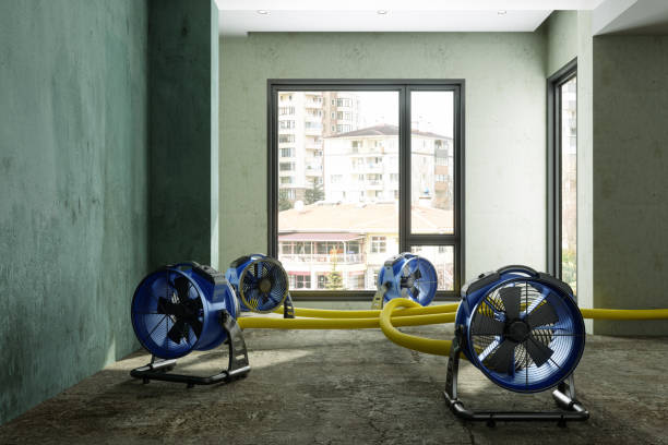Best Ceiling water damage repair  in Eagar, AZ